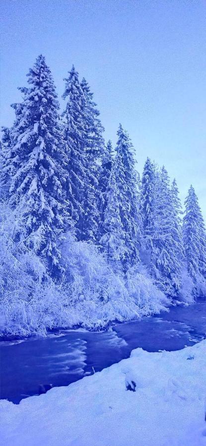 Родинна Оселя สลาฟสเก ภายนอก รูปภาพ